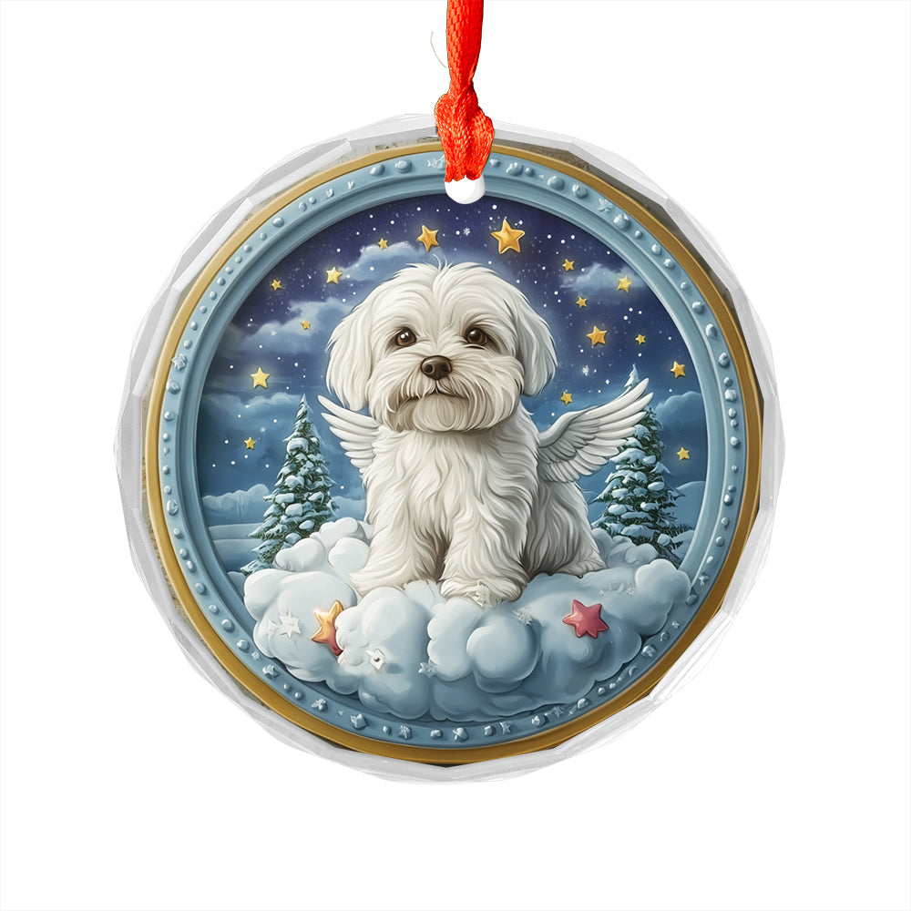 Angel Maltese Dog 1