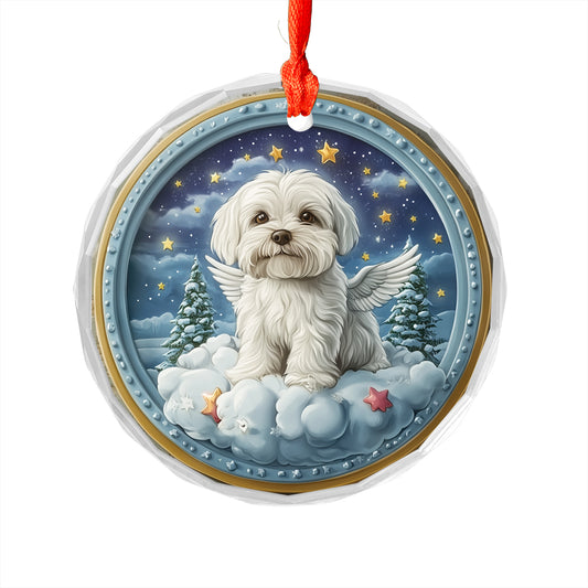 Angel Maltese Dog 1