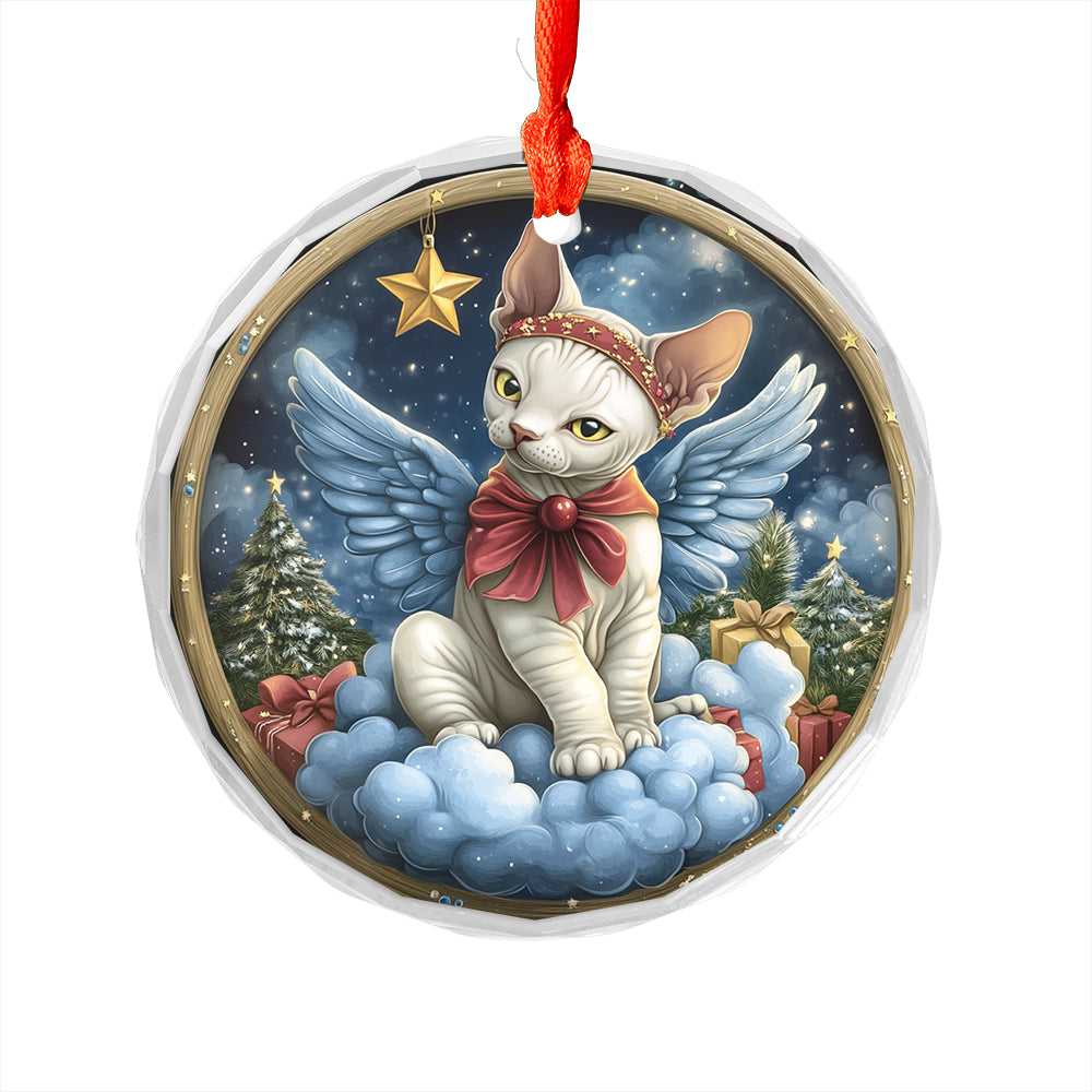 Angel Sphynx Cat 1