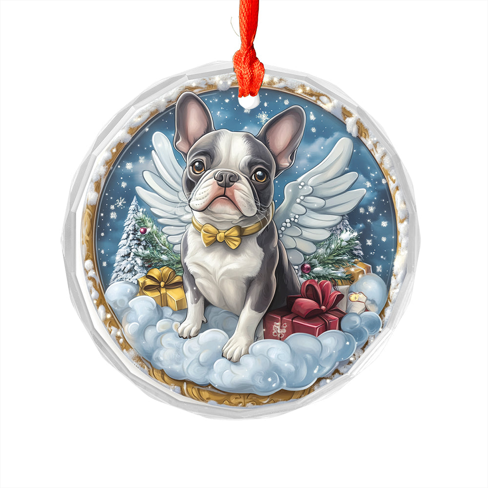 Angel Boston Terrier Dog 4