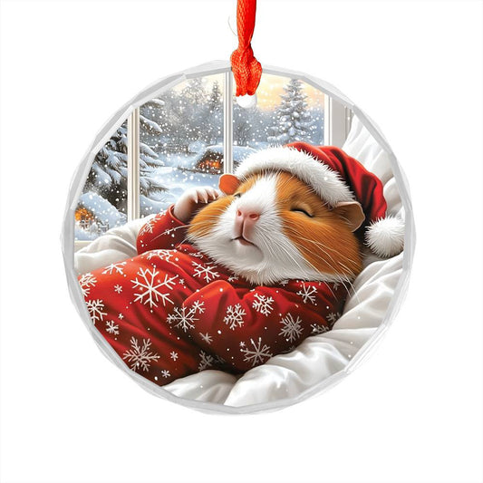 Guinea Pig Sleeping In Bed Design 2