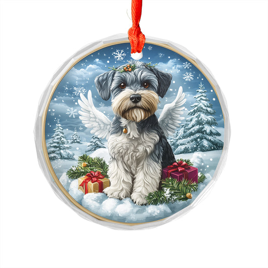 Angel Miniature Schnauzer Dog 4