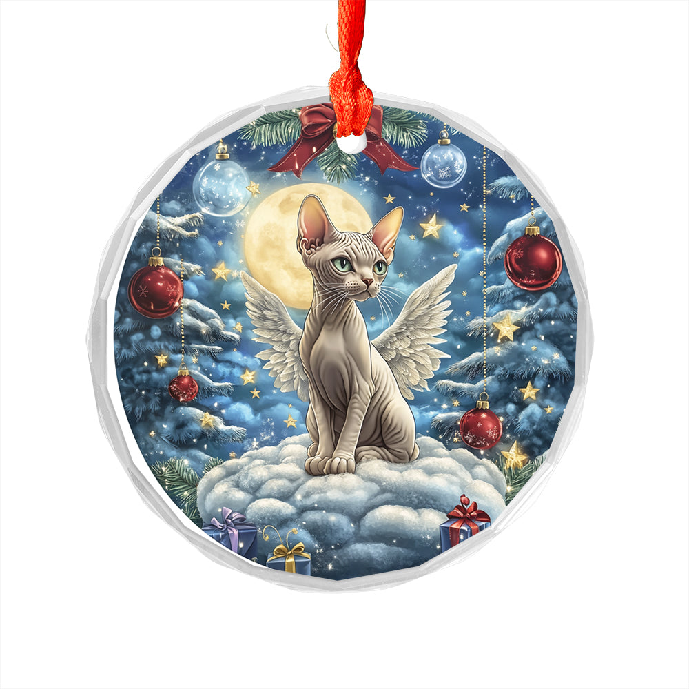 Angel Sphynx Cat 3