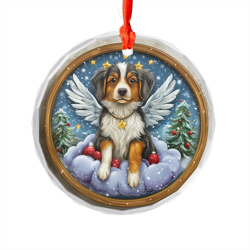 Angel Australian Shepherd Dog 3