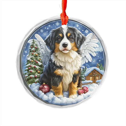 Angel Australian Shepherd Dog 4