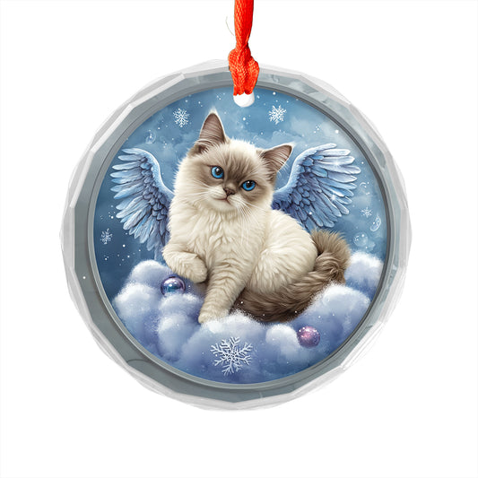 Angel Siamese Cat 1