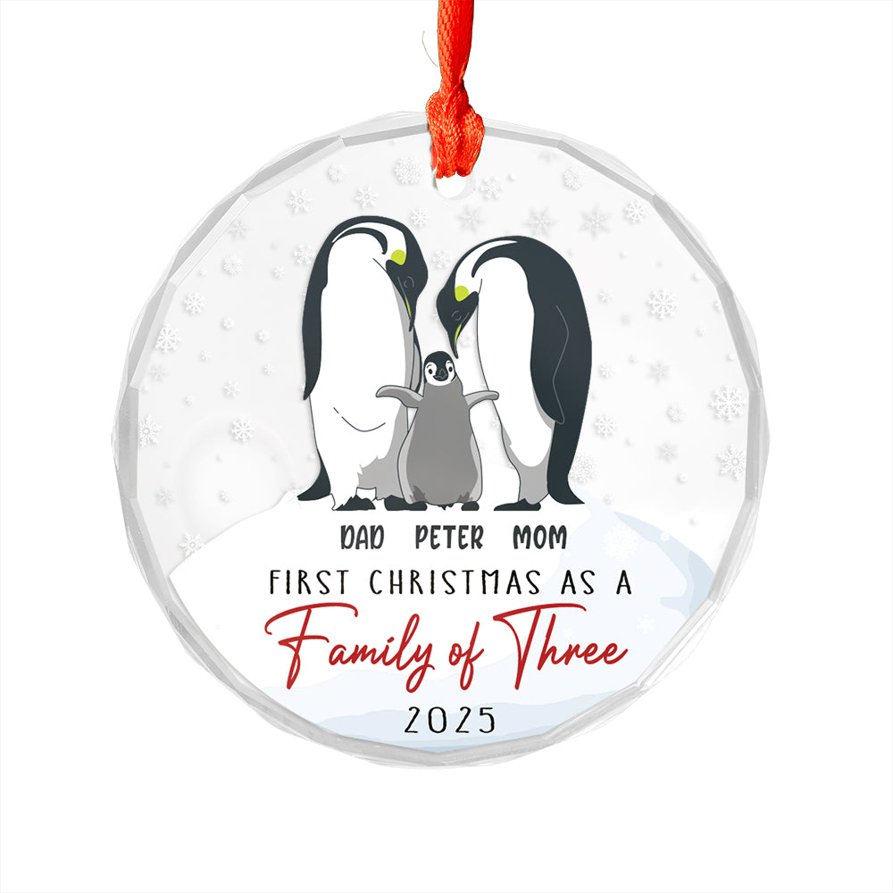 Custom Couple First Christmas
