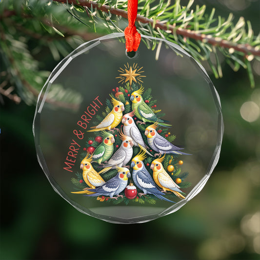 Cockatiel Xmas Custom