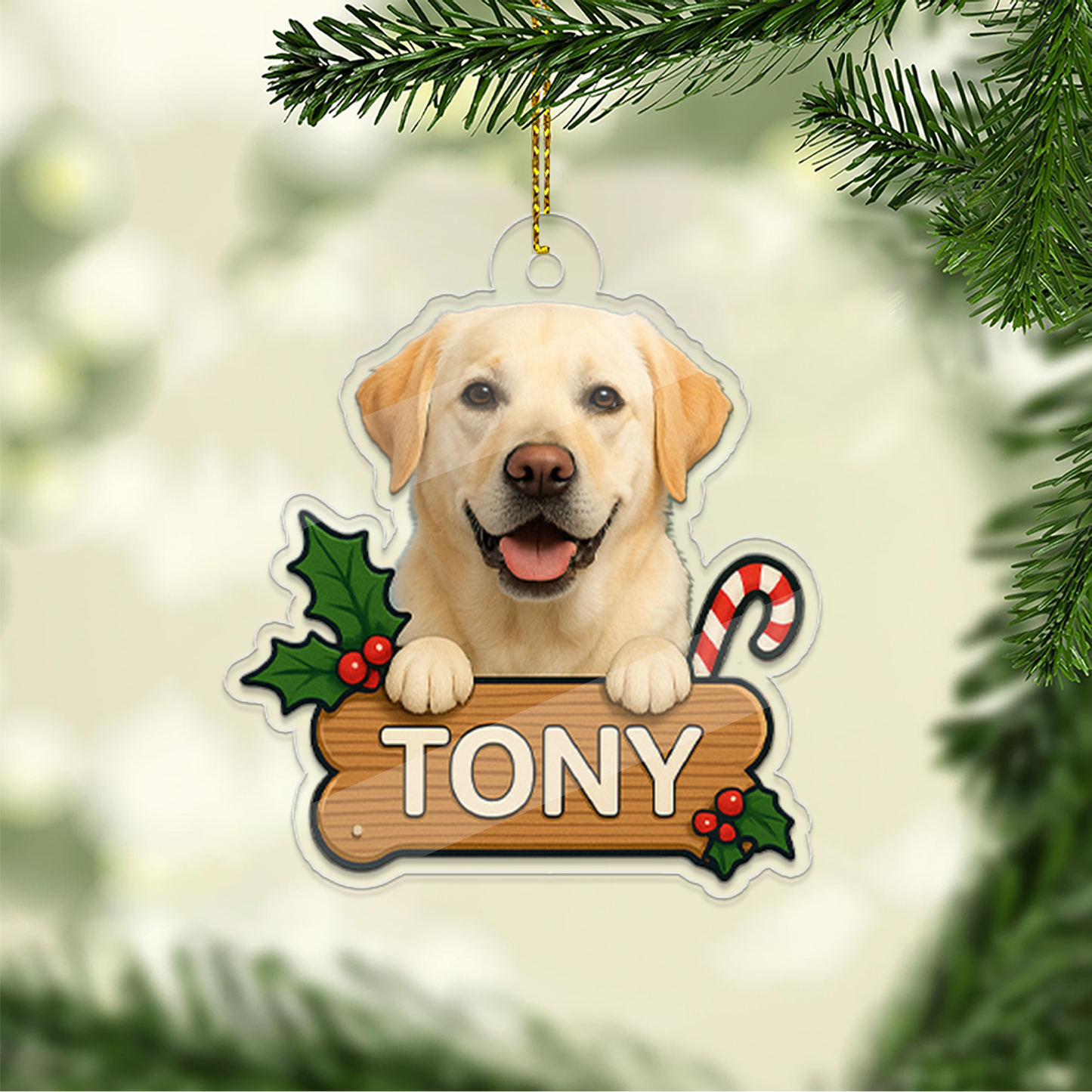 Personalized Pet Ornament, Custom Dog Christmas Ornament, Pet Ornament Using Photo, Cat Christmas Photo Ornament, Pet Portrait Name Gift