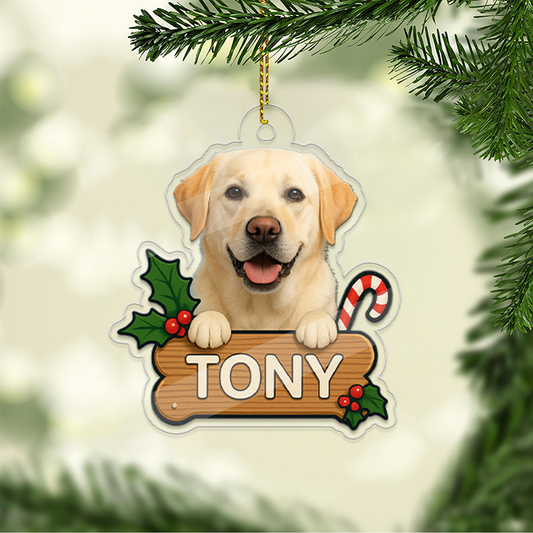 Personalized Pet Ornament, Custom Dog Christmas Ornament, Pet Ornament Using Photo, Cat Christmas Photo Ornament, Pet Portrait Name Gift