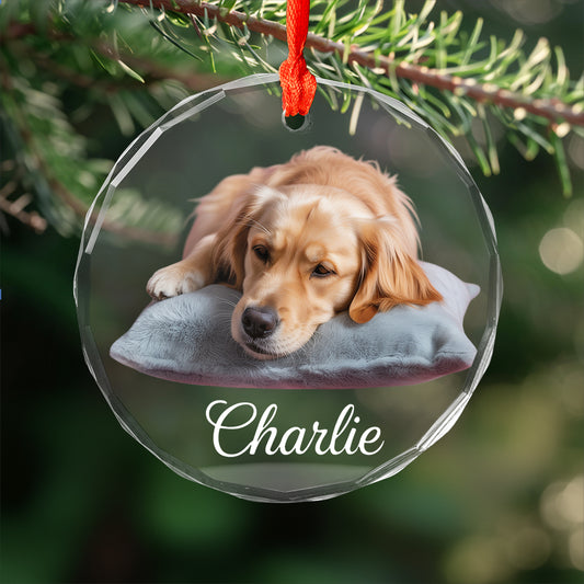 Custom Pet Name