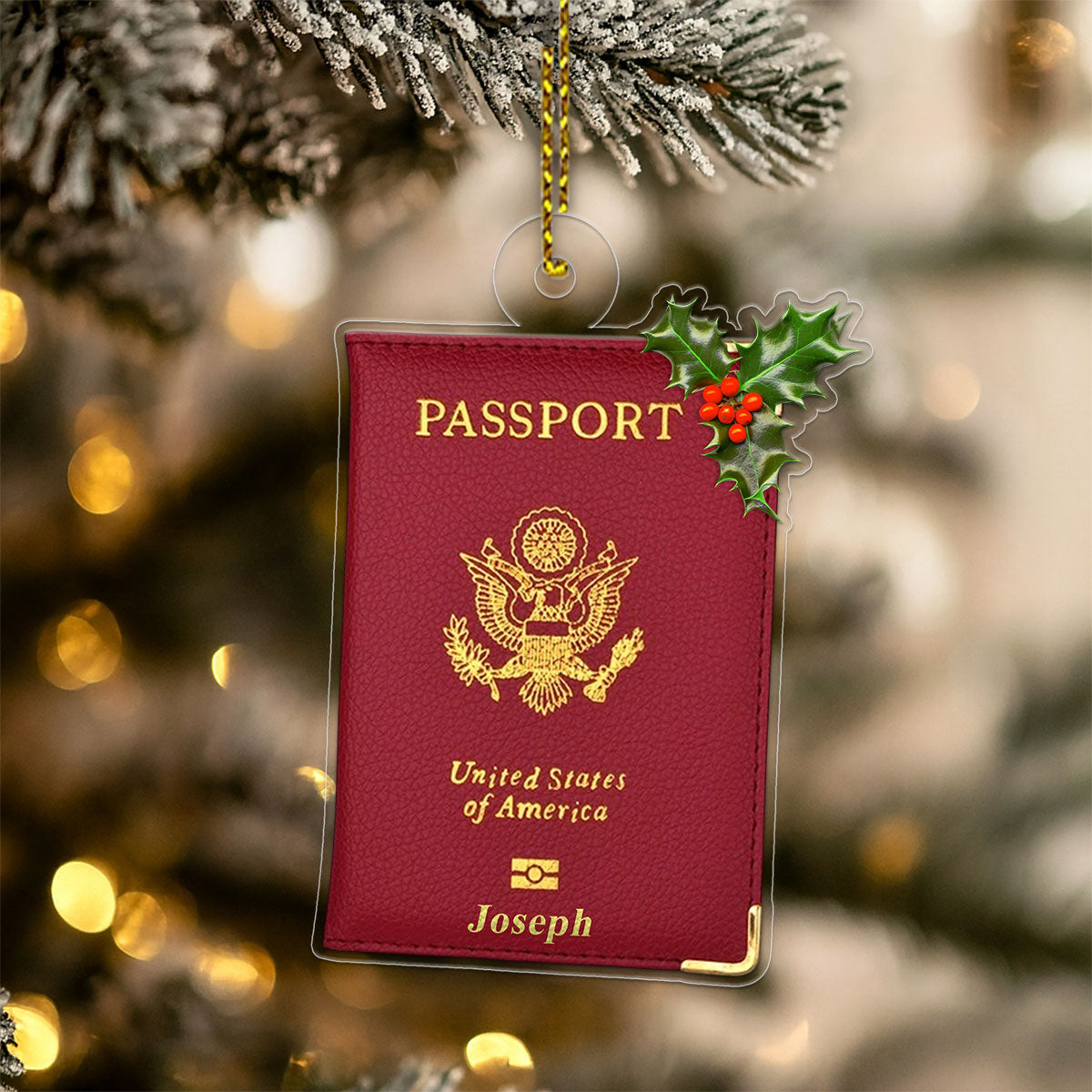 Custom Passport Xmas