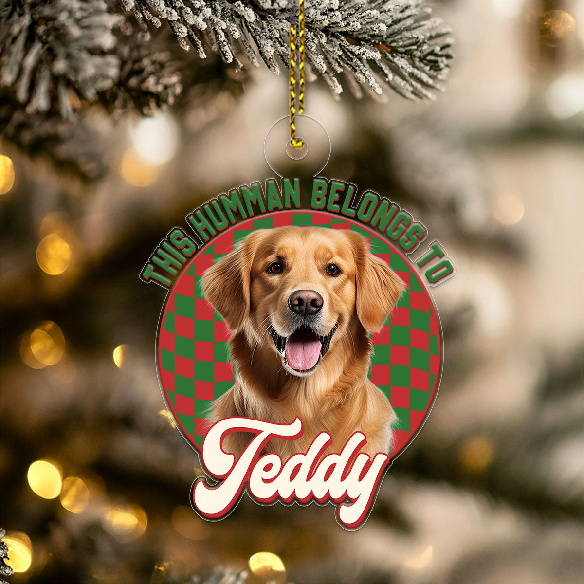 Custom Photo Dog This Human Belongs To