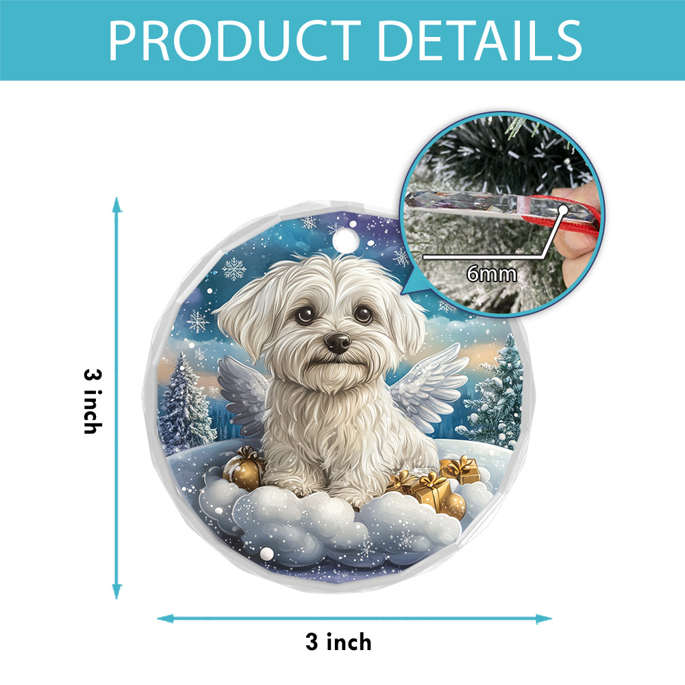 Angel Maltese Dog 2