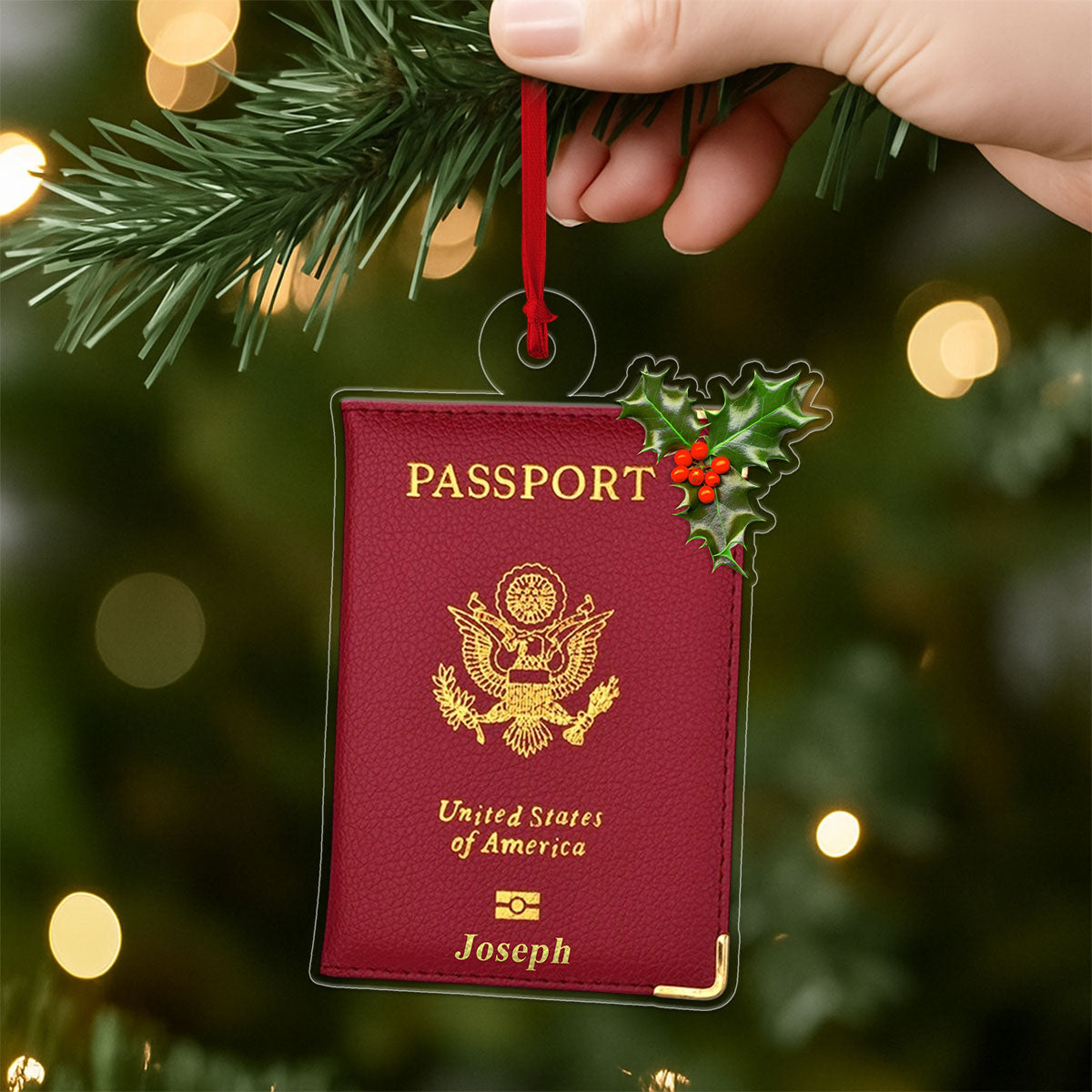 Custom Passport Xmas