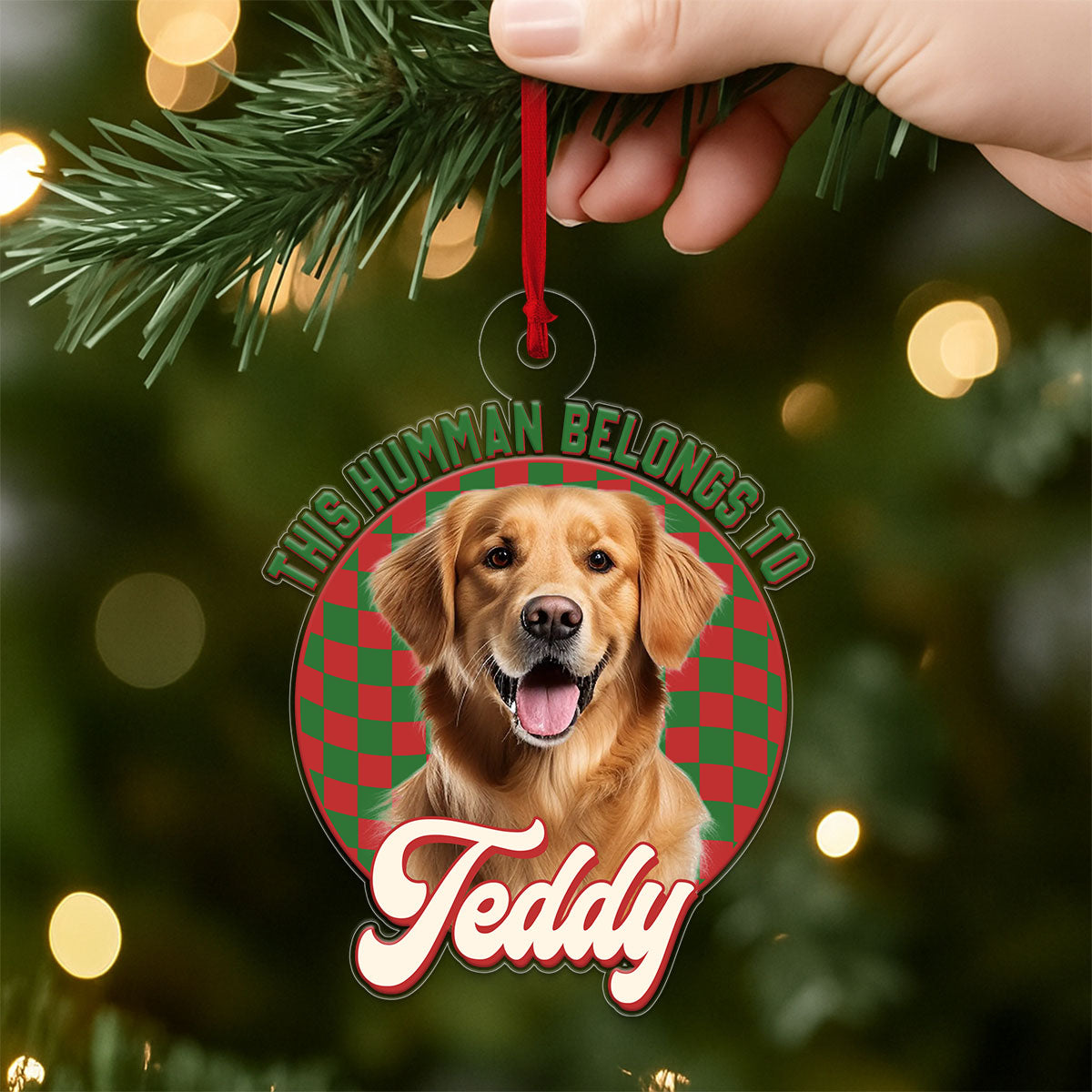 Custom Photo Dog This Human Belongs To