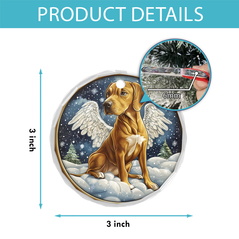 Angel Rhodesian Ridgeback Dog 2