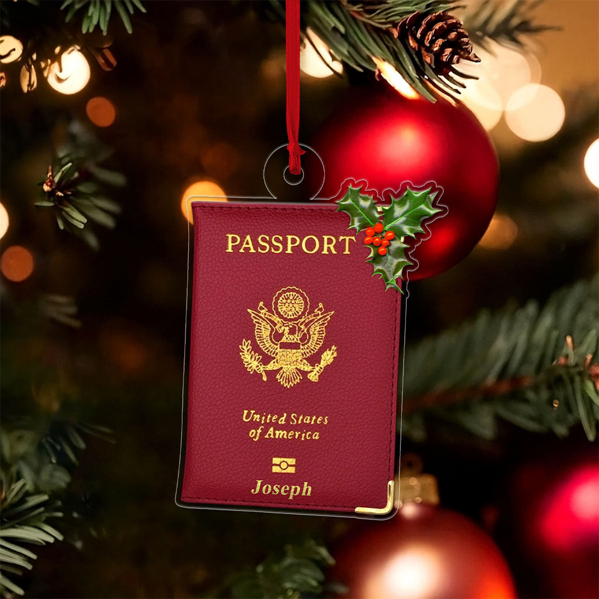 Custom Passport Xmas