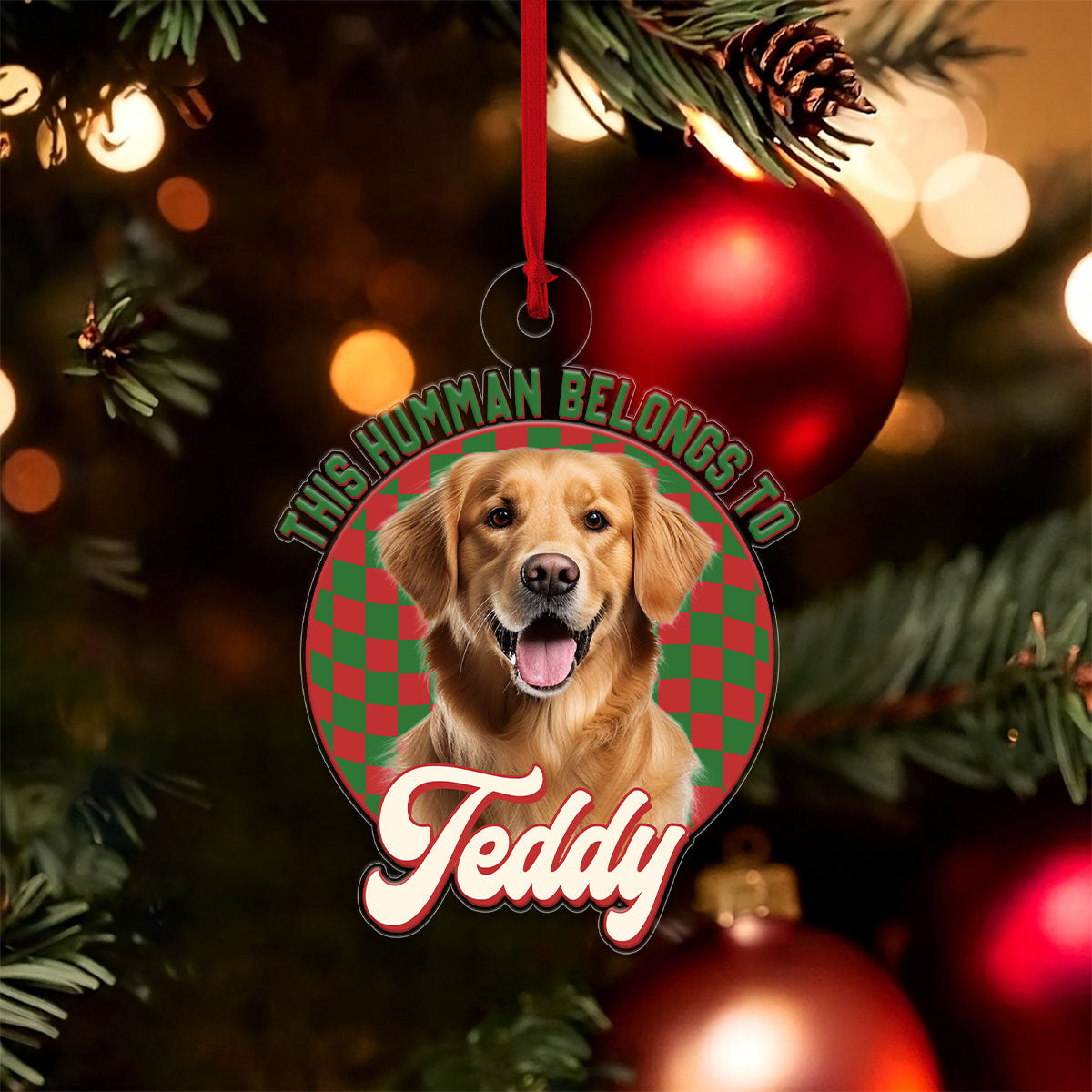 Custom Photo Dog This Human Belongs To