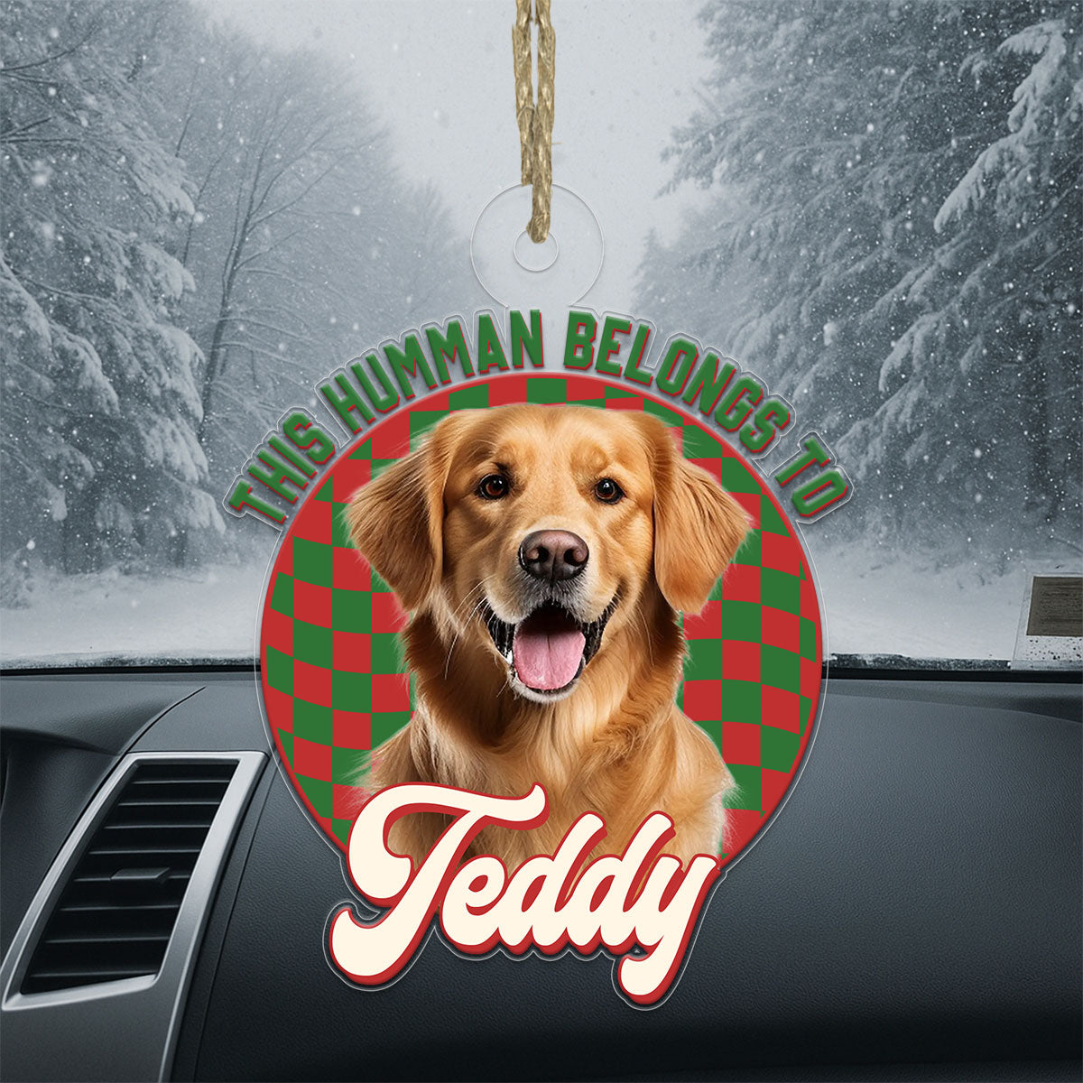 Custom Photo Dog This Human Belongs To