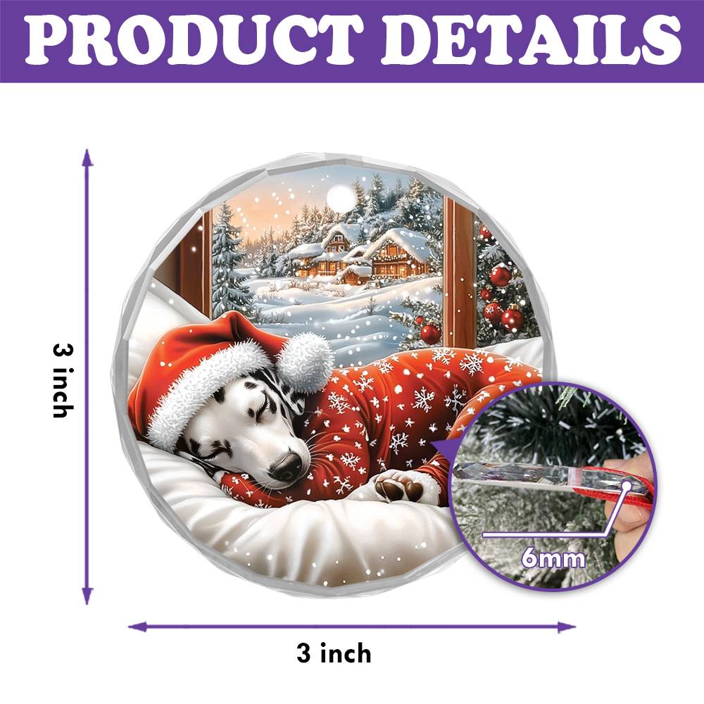 Dalmatian Dog Sleeping In Bed Design 3