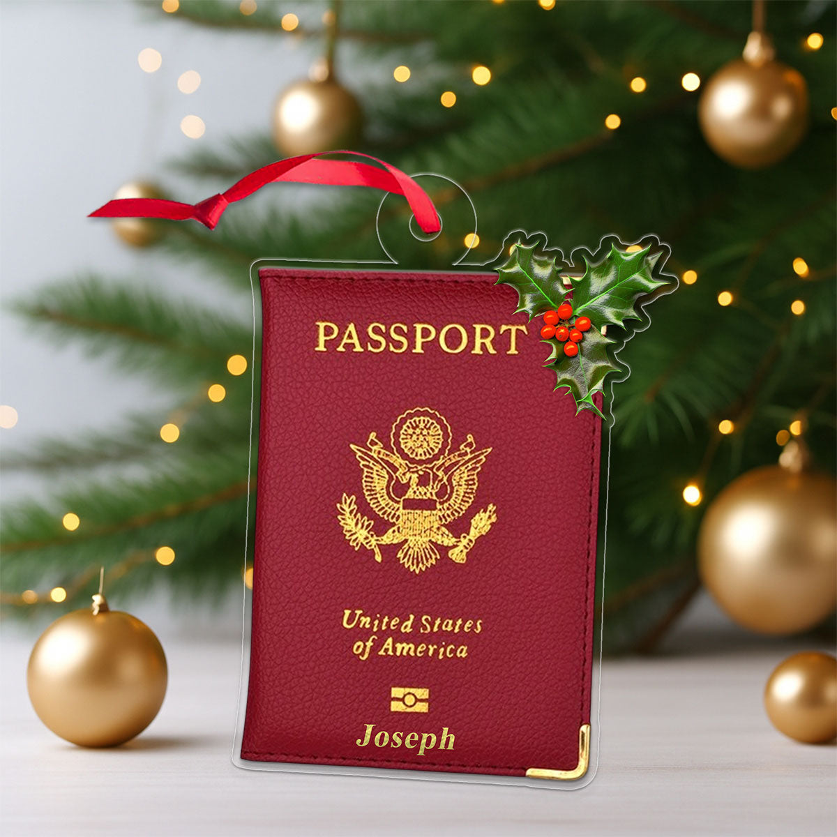 Custom Passport Xmas