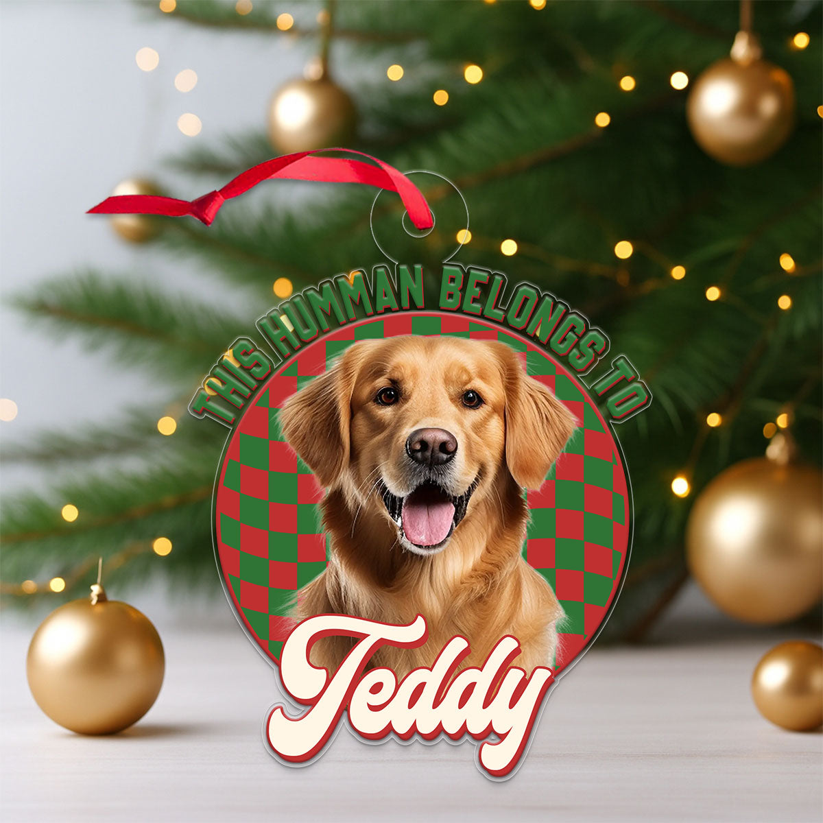 Custom Photo Dog This Human Belongs To