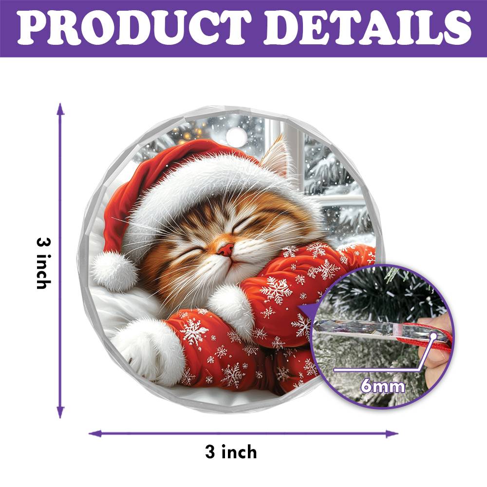 Persian cat Sleeping In Bed Design 1