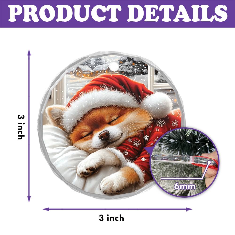 Pomeranian Dog Sleeping In Bed Design 1