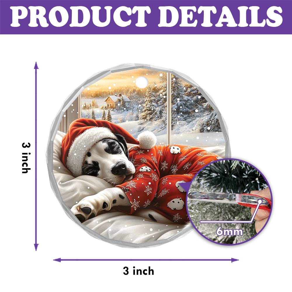 Dalmatian Dog Sleeping In Bed Design 1