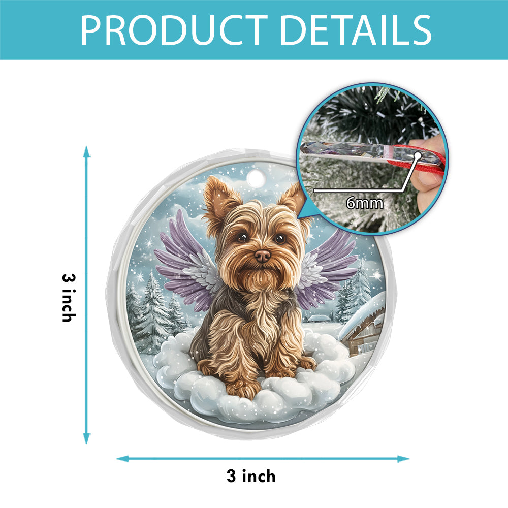 Angel Yorkshire Terrier Dog 2