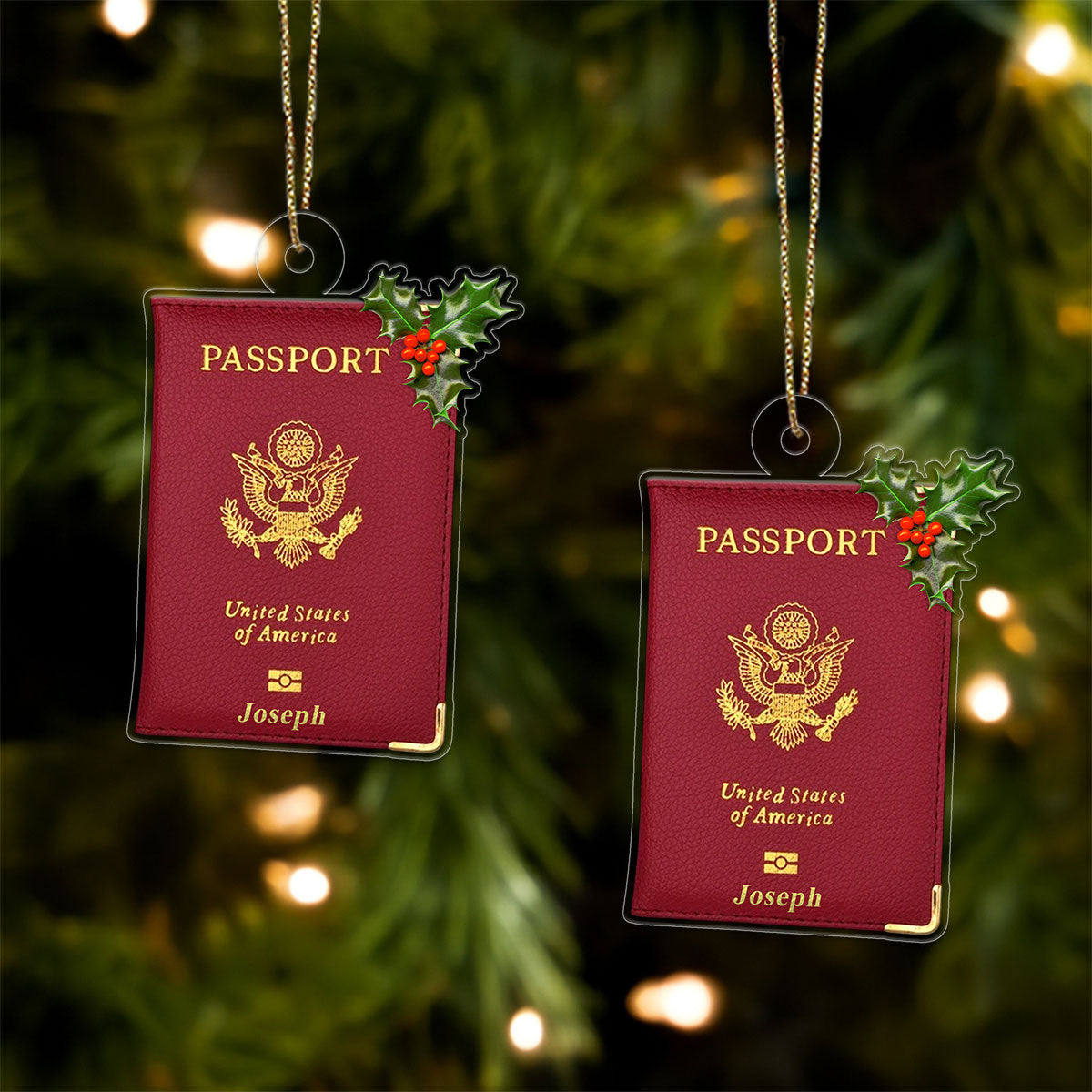 Custom Passport Xmas