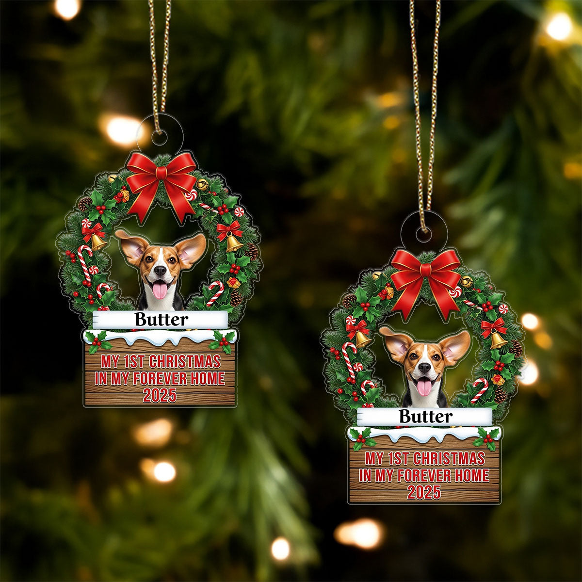 Custom Photo Dog In My Forever Home