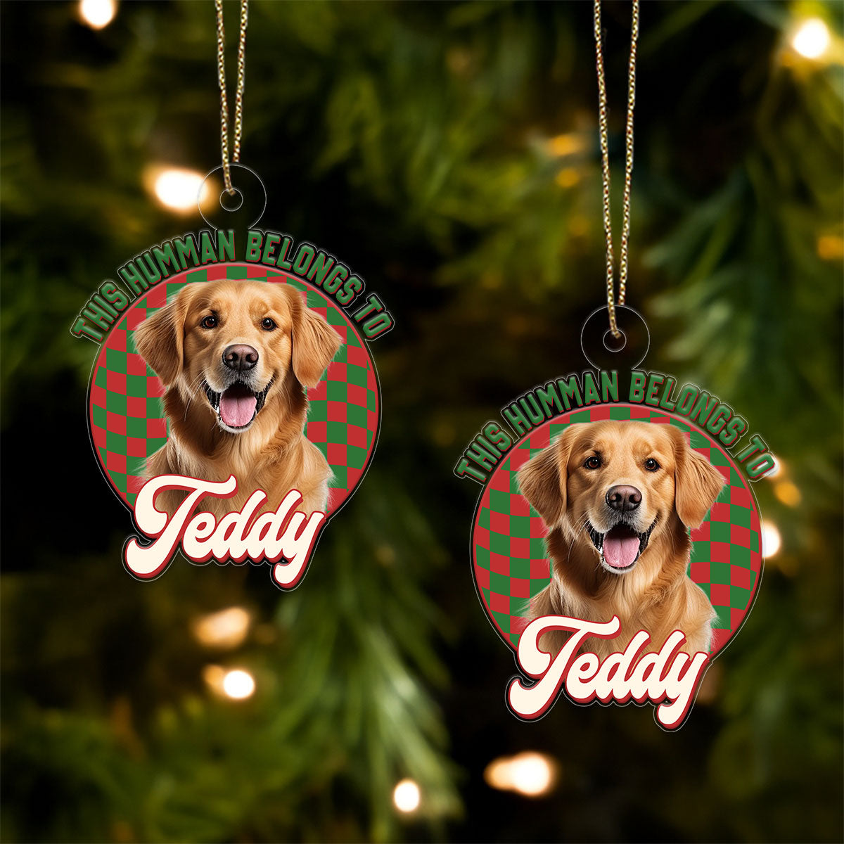 Custom Photo Dog This Human Belongs To