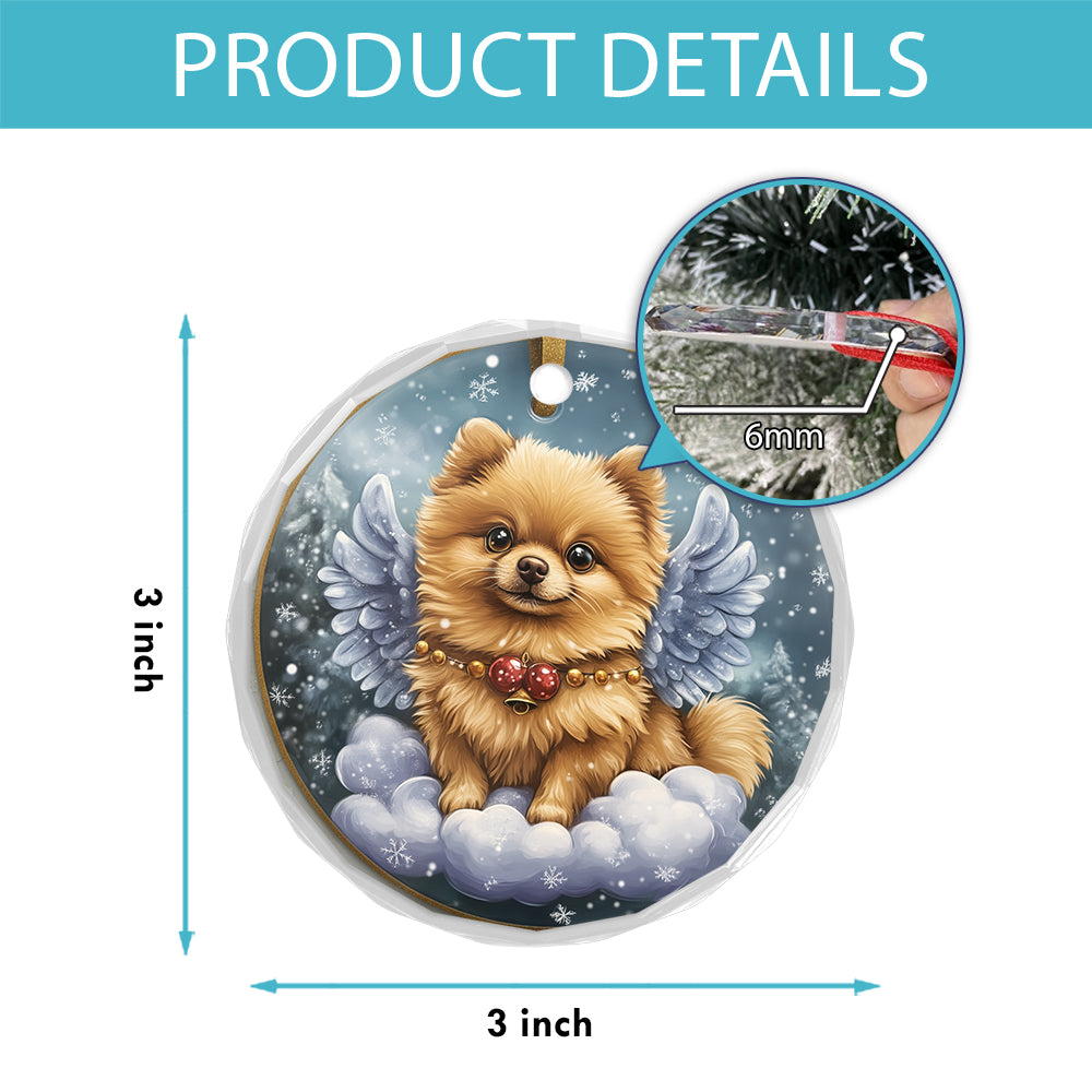 Angel Pomeranian Dog 4