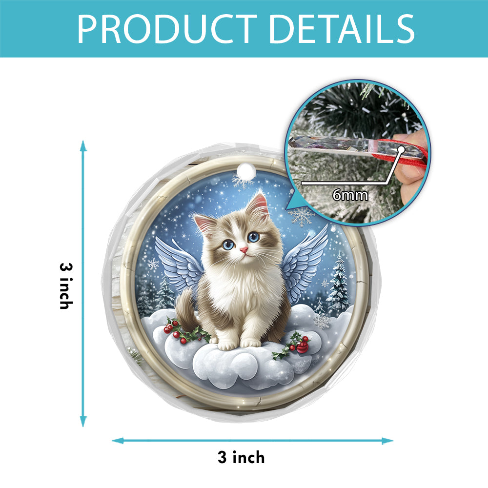 Angel Ragdoll Cat 2
