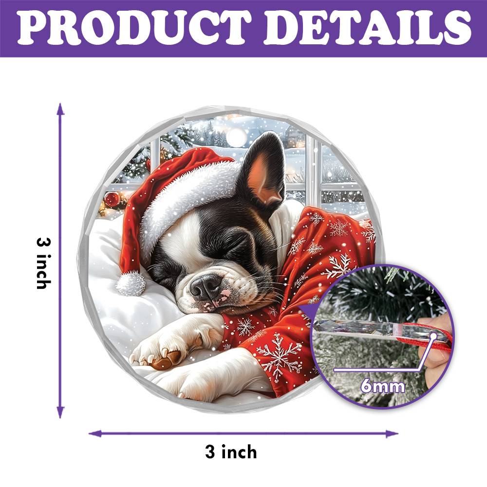 Boston Terrier Dog Sleeping In Bed Design 2