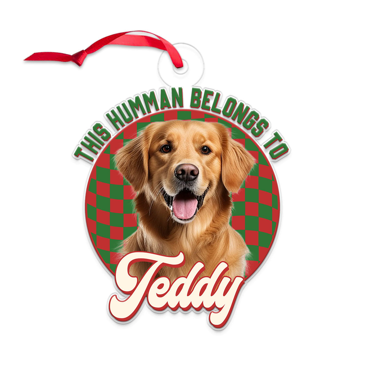 Custom Photo Dog This Human Belongs To