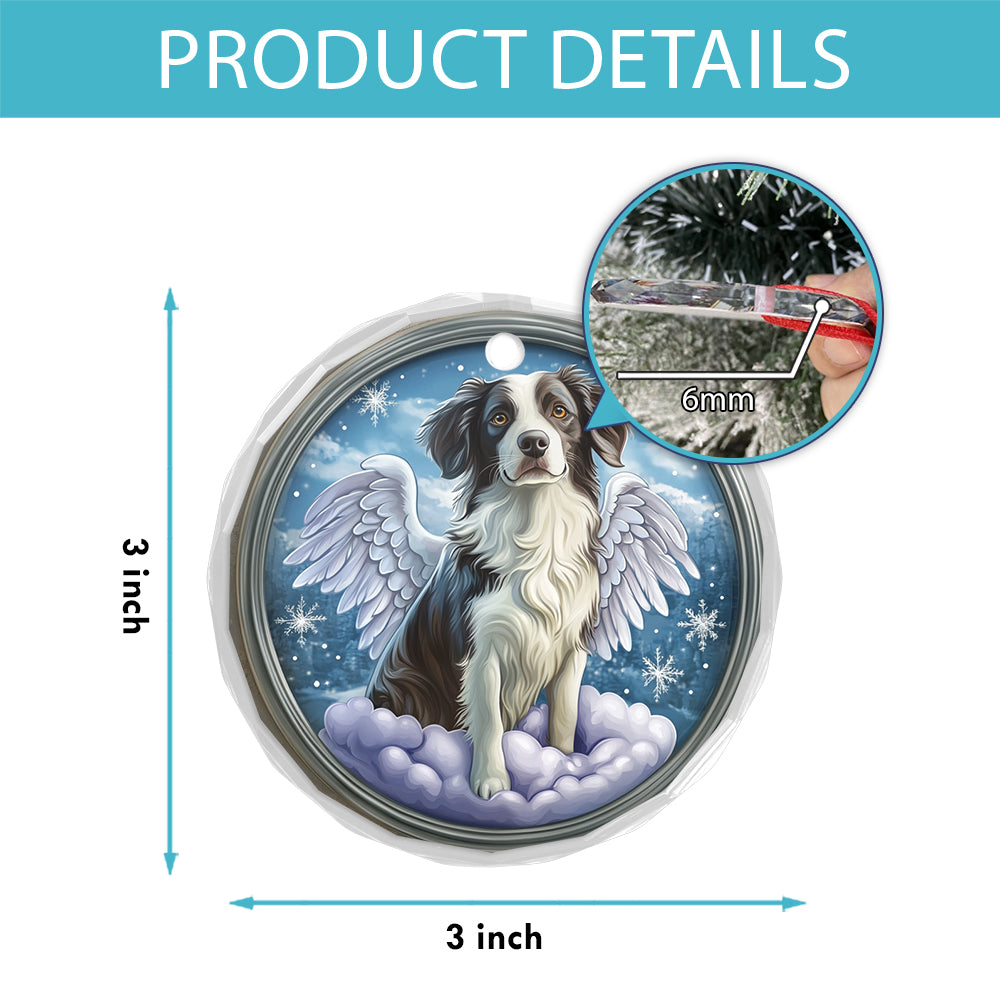 Angel Border Collie Dog 1