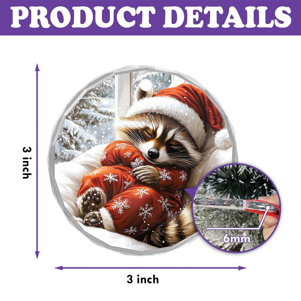 Raccoon Sleeping In Bed Design 4