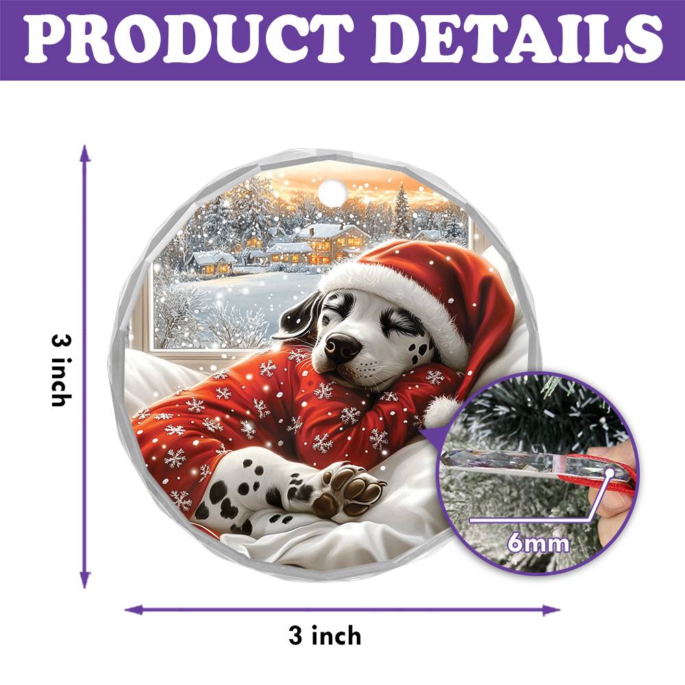 Dalmatian Dog Sleeping In Bed Design 2