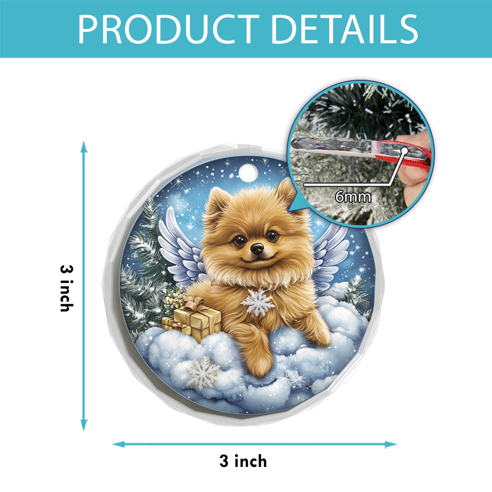 Angel Pomeranian Dog 1
