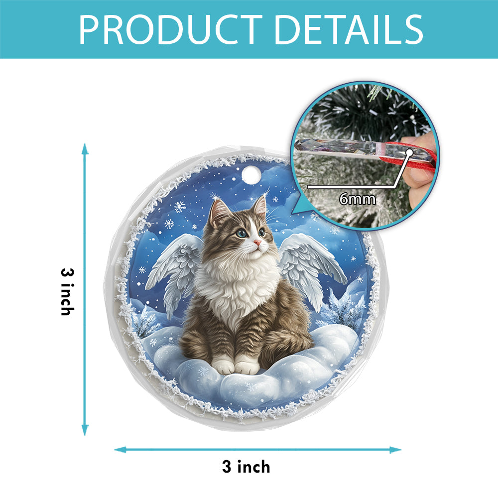 Angel Norwegian Forest Cat 4