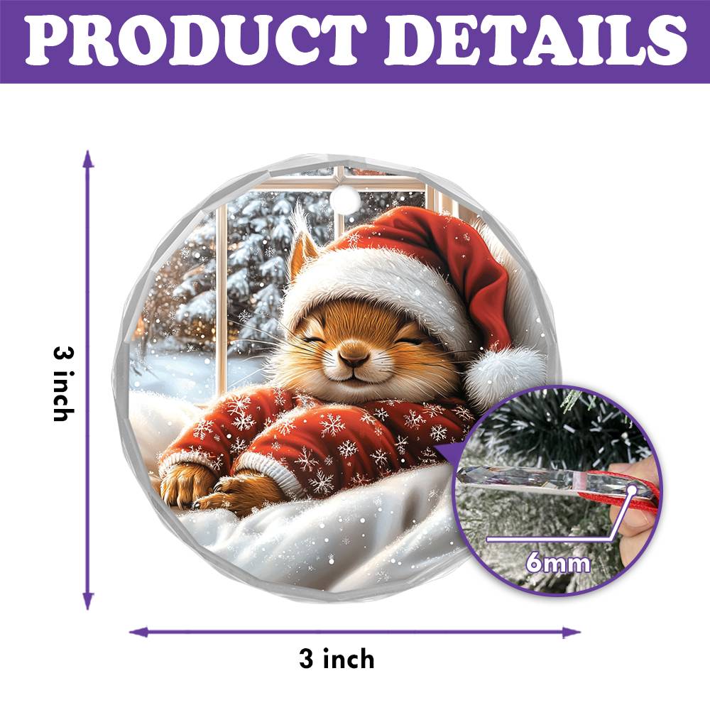 Squirrel Sleeping In Bed Design 3