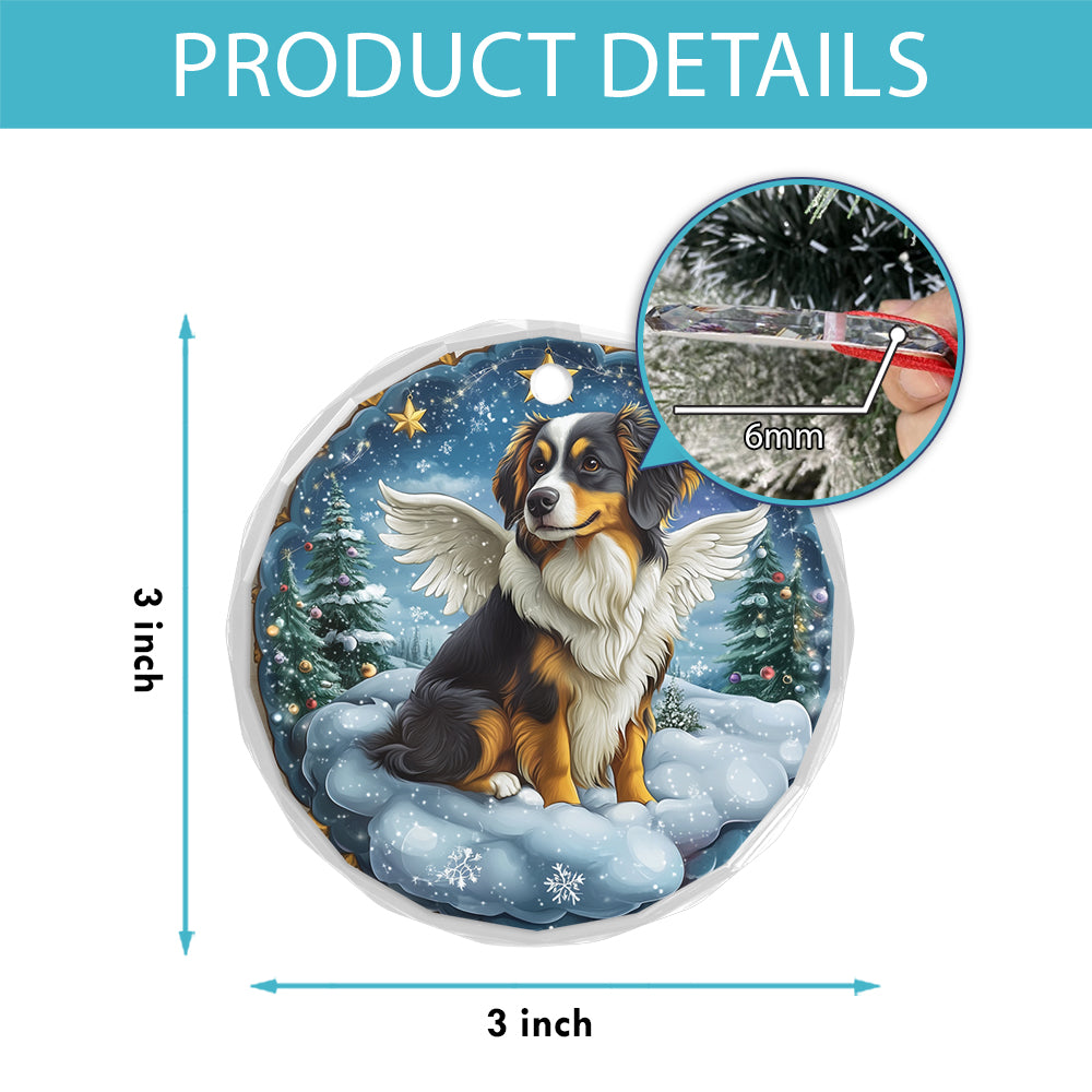 Angel Australian Shepherd Dog 1