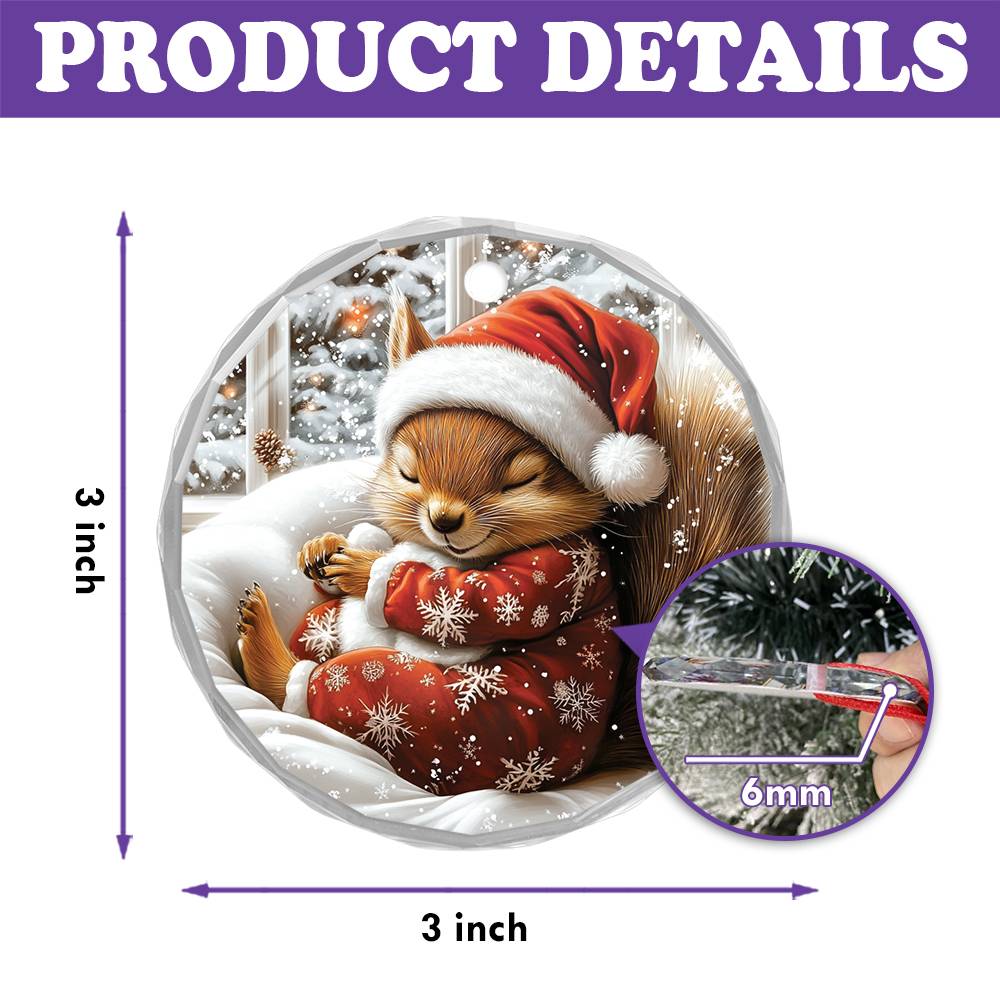 Squirrel Sleeping In Bed Design 1