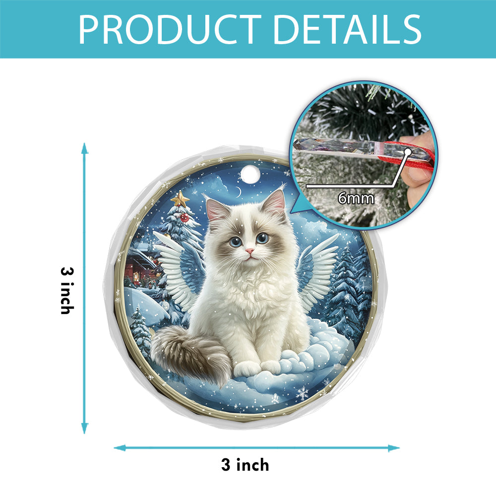 Angel Ragdoll Cat 3