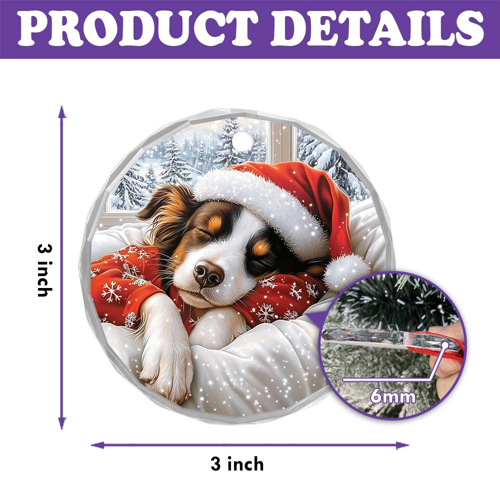 Border Collie Dog Sleeping In Bed Design 1