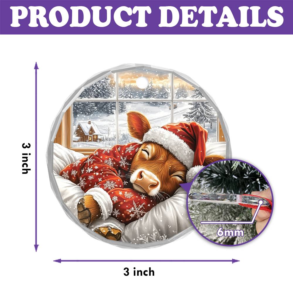 Angus Cow Sleeping In Bed Design 1