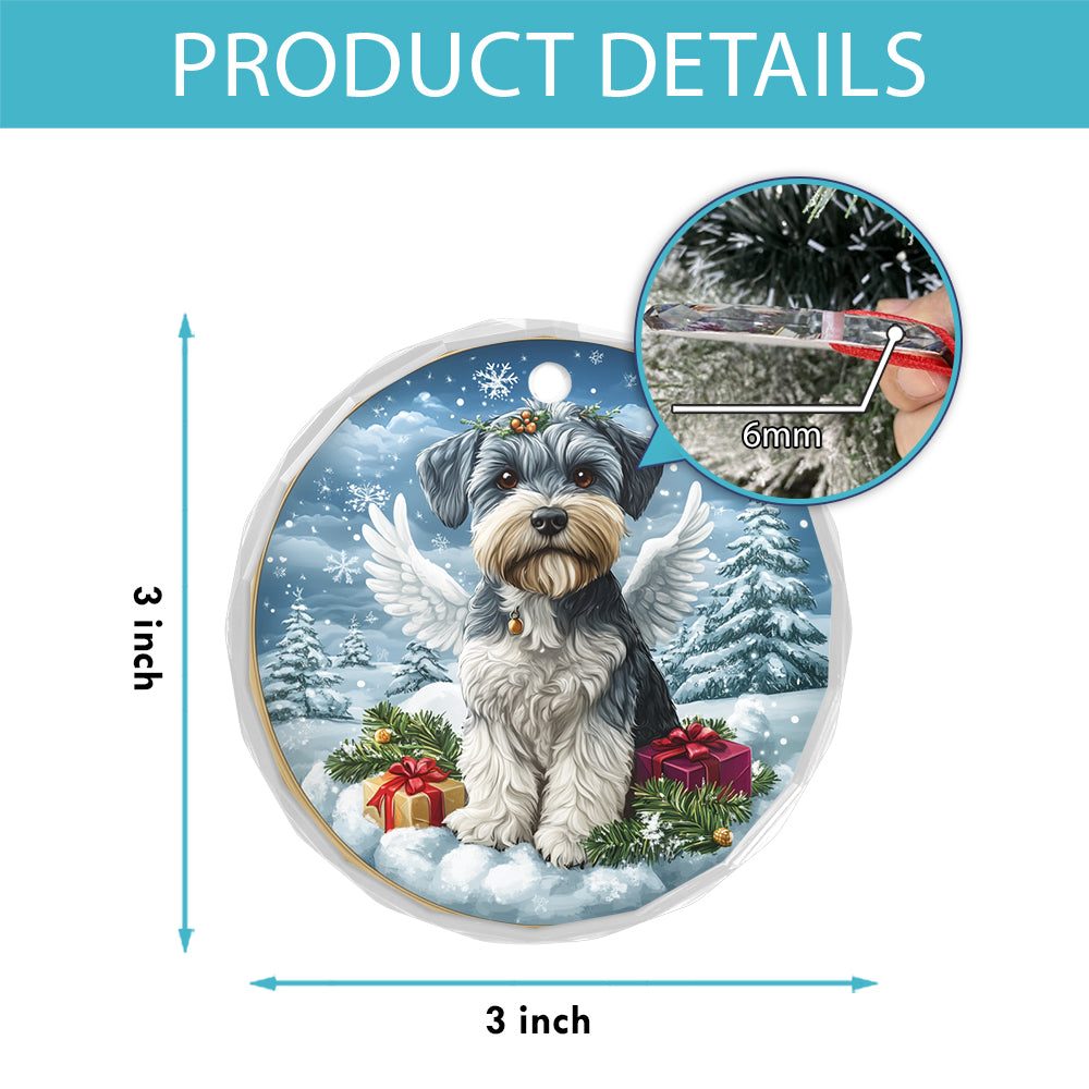 Angel Miniature Schnauzer Dog 4
